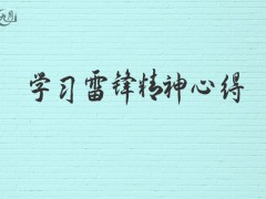 学习雷锋精神心得600字（6篇）