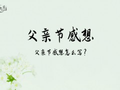 父亲节感想500字（9篇）