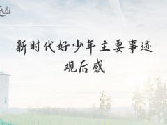 新时代好少年主要事迹观后感500字（8篇）