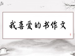 我喜爱的书作文400字（14篇）