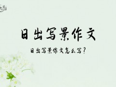 日出写景作文600字（12篇）