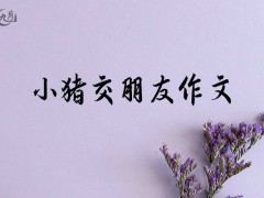 小猪交朋友作文500字（14篇）