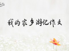 我的家乡游记作文600字（9篇）