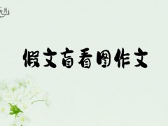 假文盲看图作文600字（15篇）