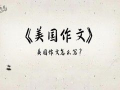 美国作文700字（12篇）