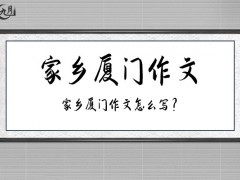 家乡厦门作文500字（16篇）