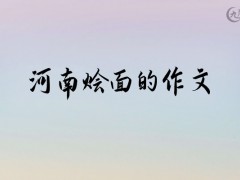 河南烩面的作文800字（9篇）