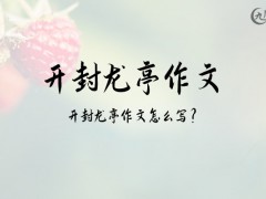 开封龙亭作文600字（17篇）