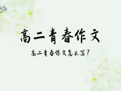 高二青春作文700字（12篇）