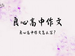 良心高中作文800字（11篇）