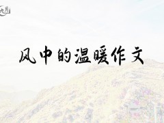 风中的温暖作文800字（13篇）